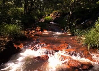 En Marea se opone al Proyecto Touro por sus consecuencias negativas sobre el medio ambiente y la salud de la población