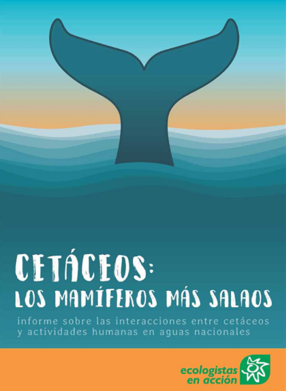 Ecologistas en Acción publica un informe sobre los impactos que sufren los cetáceos en aguas españolas