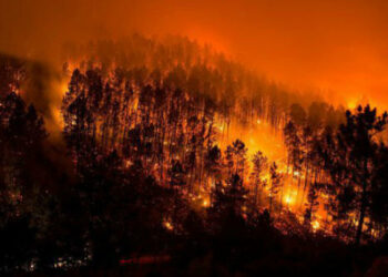 La política forestal y el deterioro climático, factores clave en los incendios de Galicia, Asturias, León y Portugal