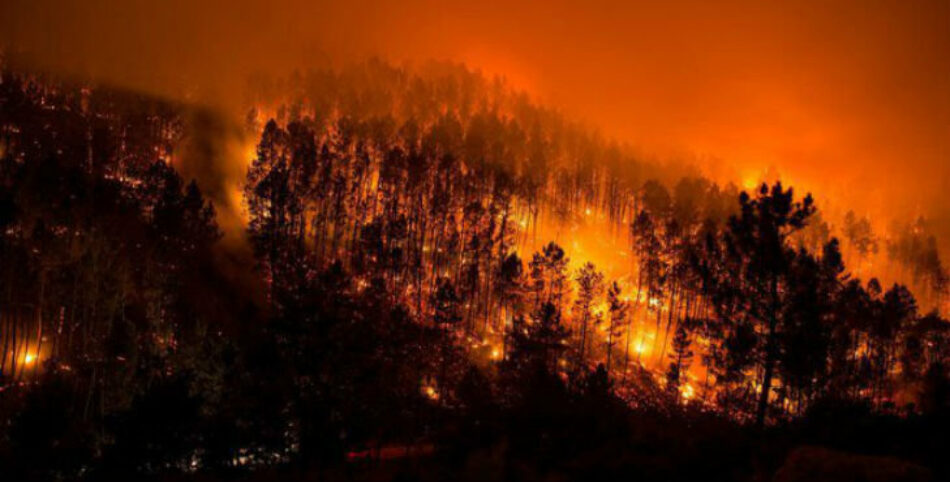 La política forestal y el deterioro climático, factores clave en los incendios de Galicia, Asturias, León y Portugal