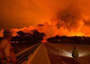 Gobierno de Portugal brindará ayuda a víctimas de incendios