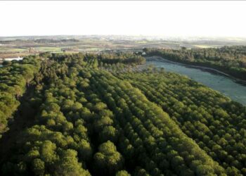 Podemos lamenta el interés del Partido Popular por comprometer el futuro del Parque Nacional de Doñana