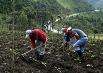 Un paso hacia adelante en el proceso hacia una Declaración de la ONU sobre los Derechos de Campesinas y Campesinos