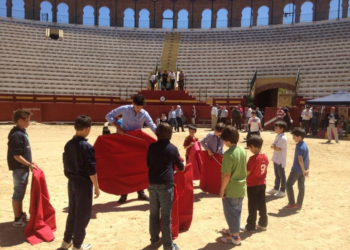 STERM denuncia las subvenciones a las actividades docentes de la Escuela de Tauromaquia