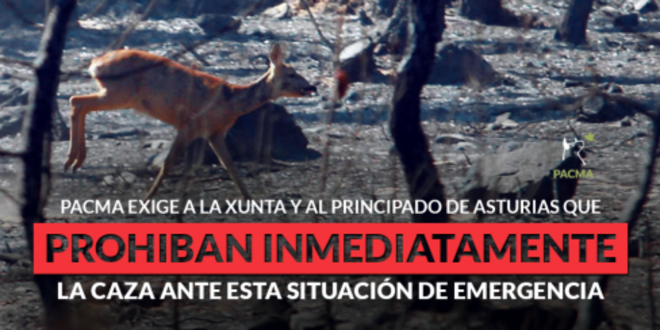 PACMA presenta un plan para evacuar animales en catástrofes como los incendios de Galicia