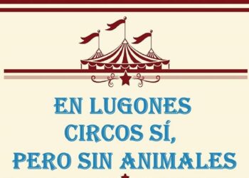 EQUO exige el fin de los circos con animales en Siero