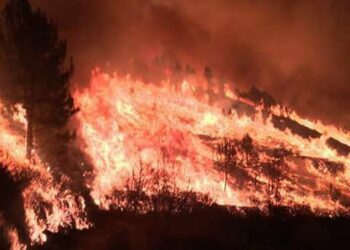 La senadora Vanessa Angustia reclama que los/as ministros/as de Agricultura, Defensa e Interior den cuenta en el Senado de su respuesta a la última oleda de incendios