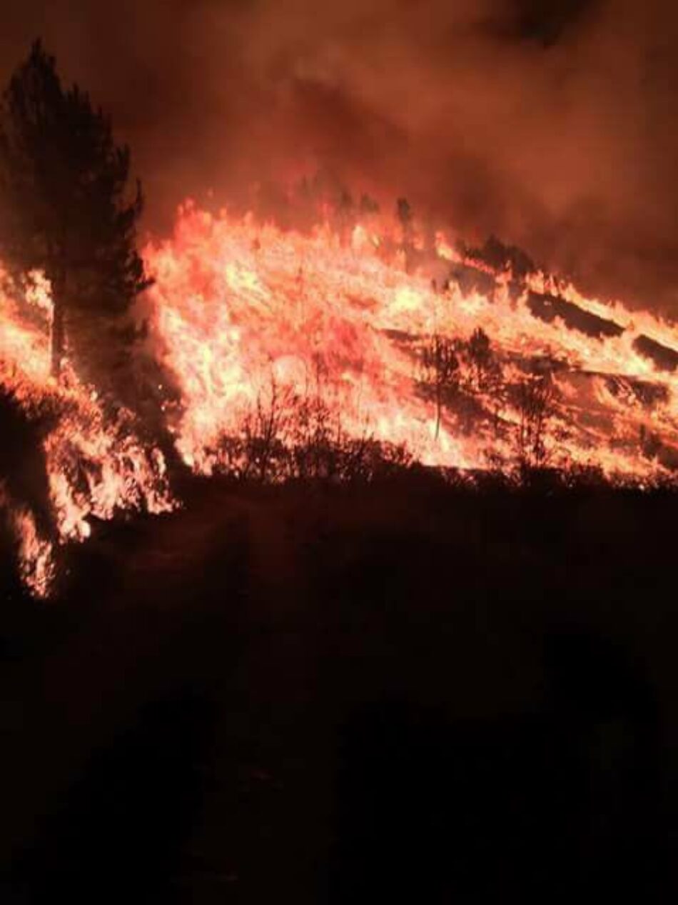 La senadora Vanessa Angustia reclama que los/as ministros/as de Agricultura, Defensa e Interior den cuenta en el Senado de su respuesta a la última oleda de incendios