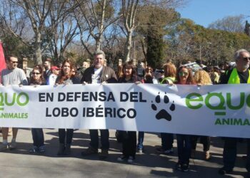 EQUO critica la “miopía” de Asaja e insiste en que se vea el Plan del Lobo como una oportunidad de desarrollo