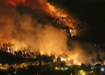 Vallina: “La causa principal de los incendios es la pésima gestión del territorio, aunque quieran hacer creer que no hay responsables políticos”