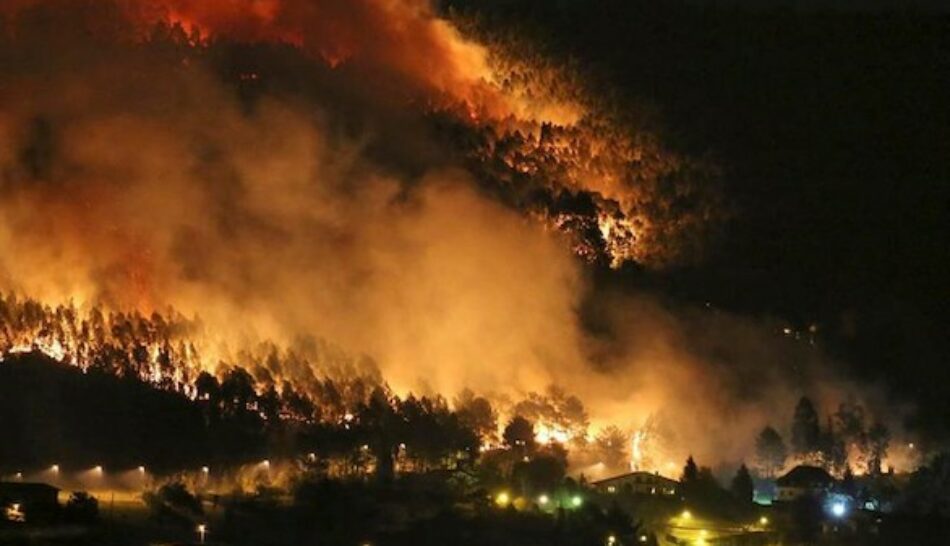 Vallina: “La causa principal de los incendios es la pésima gestión del territorio, aunque quieran hacer creer que no hay responsables políticos”