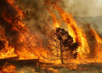 EQUO pide que se amplíe el periodo de alto riesgo de incendio en Andalucía