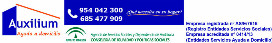 Participa lleva al Pleno de Diputación la situación del servicio de ayuda a domicilio de la provincia