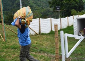 Asesinan dos líderes indígenas en Nariño, Colombia