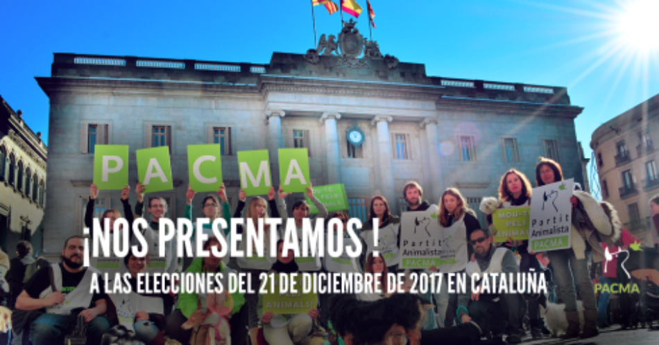 Boicot institucional a PACMA ante el 21D