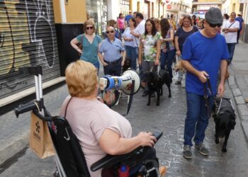 IU reclama al gobierno de Espadas que colabore con los comercios para mejorar su accesibilidad