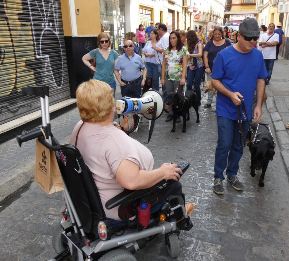 IU reclama al gobierno de Espadas que colabore con los comercios para mejorar su accesibilidad