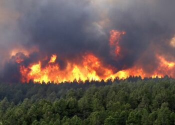 El PP impide la tramitación de una modificación de la Ley de Montes para evitar que se pueda construir en terrenos forestales incendiados