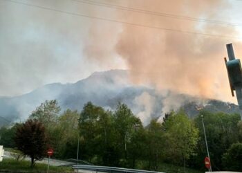 EQUO Asturies exige una lucha decidida y firme contra el fuego