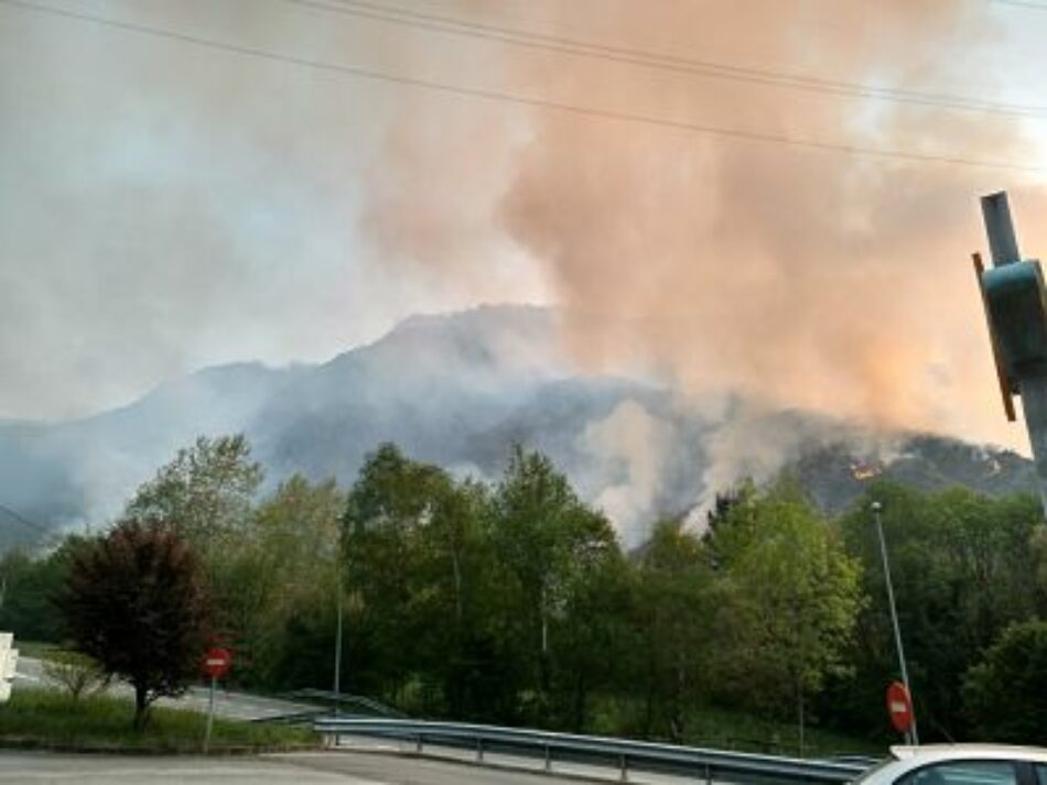 EQUO Asturies exige una lucha decidida y firme contra el fuego