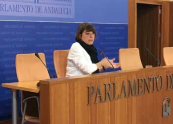 IU acusa a la FAMP de «dejación de responsabilidades» al no acudir al Parlamento para debate de tramitación de los PGJA 2018