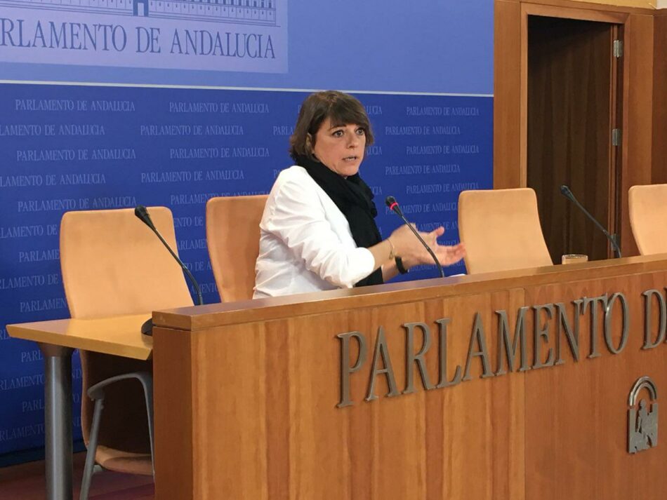 IU acusa a la FAMP de «dejación de responsabilidades» al no acudir al Parlamento para debate de tramitación de los PGJA 2018