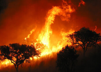 Lluvia después de los incendios: medidas urgentes para evitar la contaminación del agua