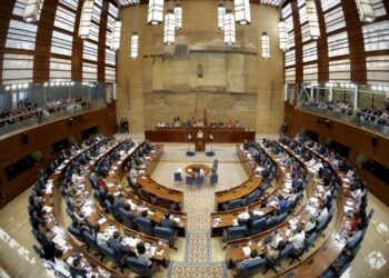 Los promotores de la ley madrileña por el derecho a la vivienda se quedarán sin poder defenderla en el pleno de la Asamblea de Madrid