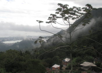 Brasil. ¿Una Favela Sostenible?