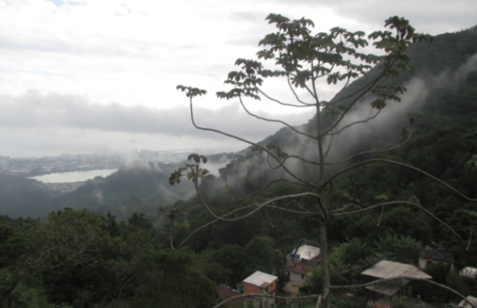 Brasil. ¿Una Favela Sostenible?