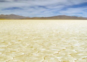 ¿Quiénes intentan apoderarse del ‘oro blanco’ de Sudamérica?