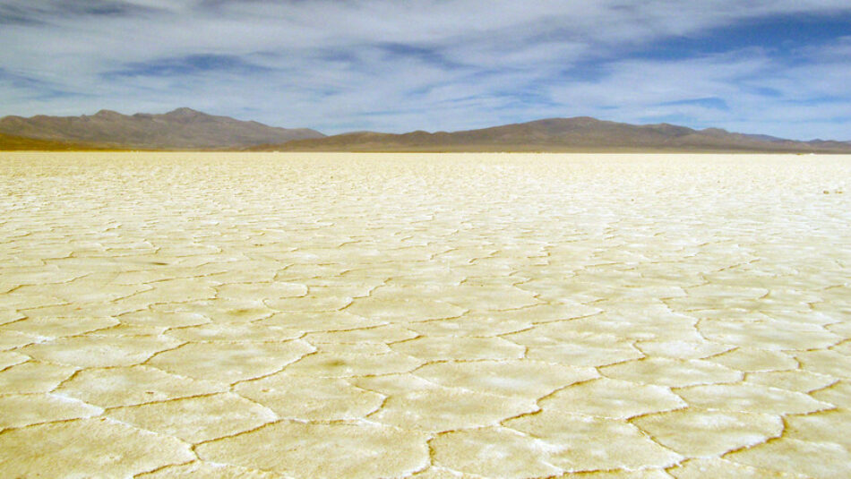 ¿Quiénes intentan apoderarse del ‘oro blanco’ de Sudamérica?