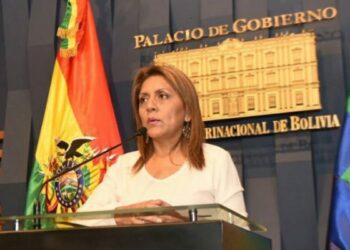 Ministra de Comunicación destaca respaldo de más de 30 organizaciones sociales a la repostulación de Evo Morales