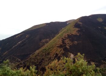 Asturias: ecologistas piden que se vede a la caza las áreas del Suroccidente quemado