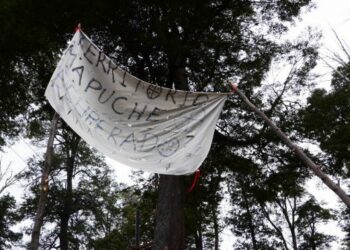 Nación Mapuche/ La represión que no cesa: Otro violento desalojo de una comunidad en Lago Mascardi /Varios detenidos