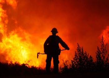 Tras las llamas: incendios forestales y sus causas ambientales, sociales, políticas y laborales