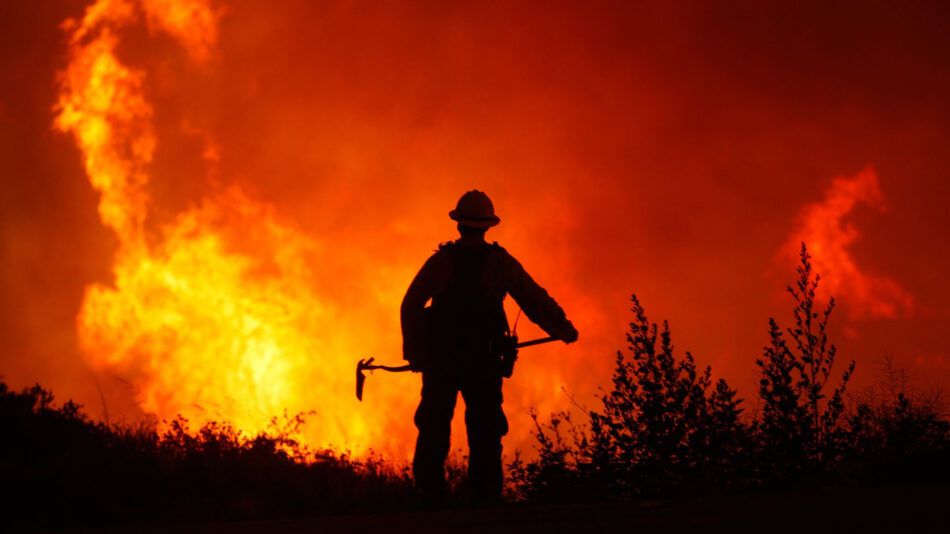 Tras las llamas: incendios forestales y sus causas ambientales, sociales, políticas y laborales