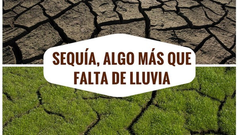 Presentación informe: «Sequía, algo más que falta de lluvia»