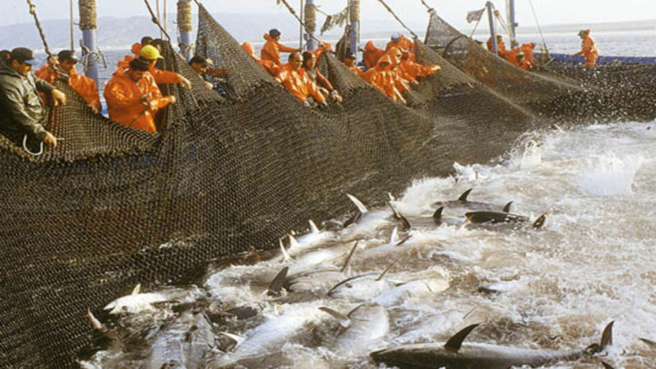 Los ministros de pesca de la UE juegan con el futuro de la pesca a puerta cerrada
