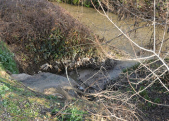 «17 años de vertidos de aguas fecales al Arroyo de la Vega, ¡ya basta!»