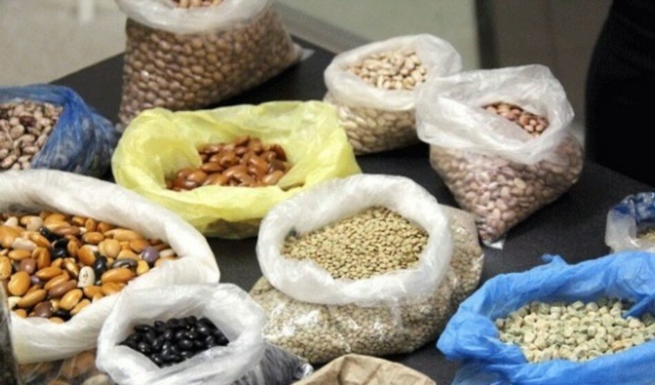 Proyecto de ley en Brasil intenta prohibir la producción y distribución de semillas