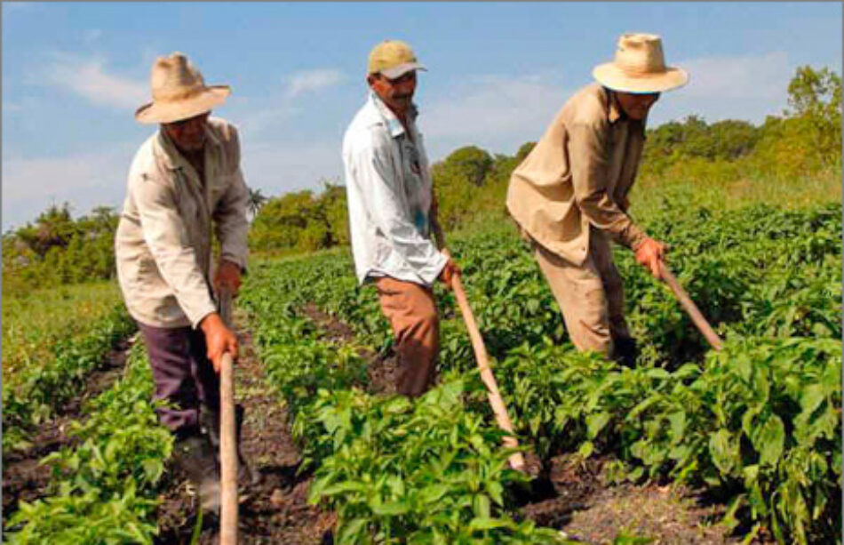 Bolivia. Un balance de la política alimentaria al 2017