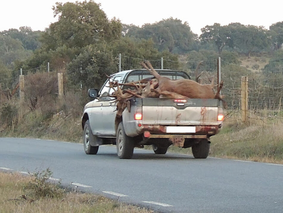 Ecologistas Extremadura lamentan que se celebre hoy una montería dentro del Parque Nacional de Monfragüe