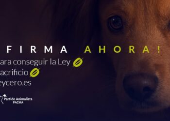 ¿Los animales no son cosas? En qué consiste exactamente la modificación del Código Civil