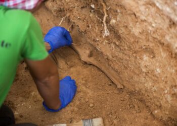 El Centro de Estudios Jurídicos organiza un curso práctico de antropología para forenses