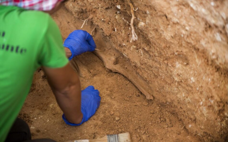 El Centro de Estudios Jurídicos organiza un curso práctico de antropología para forenses