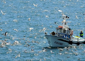 Compromiso por Galicia alerta da perda de postos de traballo no sector da pesca