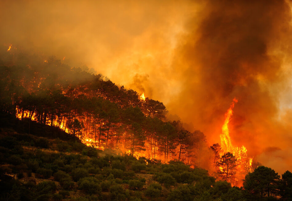 2017 se despide como el peor año del decenio en grandes incendios forestales en España