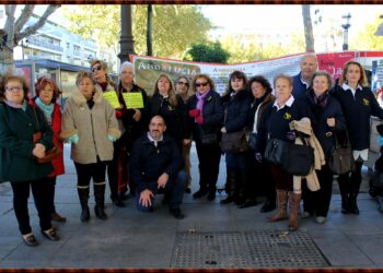 Primera concentración de 2018 de la Asociación Sevilla Bebés Robados