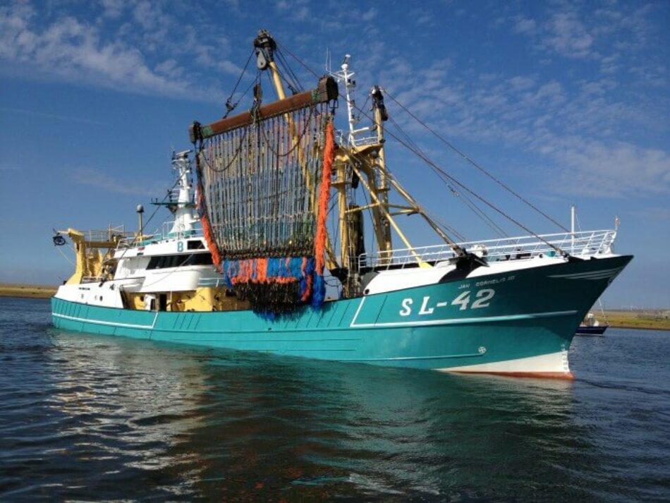 PACMA, contra la electrocución de peces que aprueba mañana el Parlamento Europeo